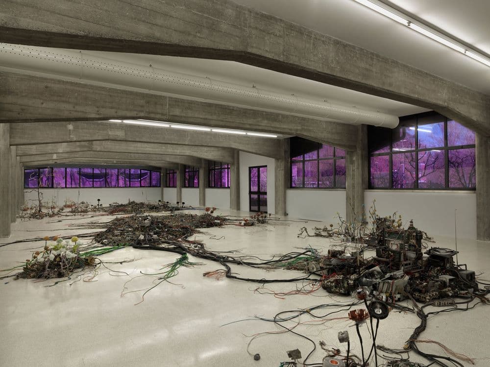 Krištof Kintera, "Postnaturalia", 2016, veduta di mostra © Krištof Kintera | ph. Dario Lasagni