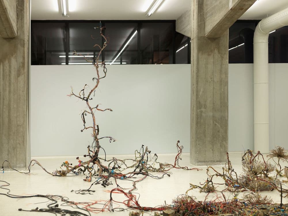 Krištof Kintera, "Postnaturalia", 2016, veduta di mostra © Krištof Kintera | ph. Dario Lasagni