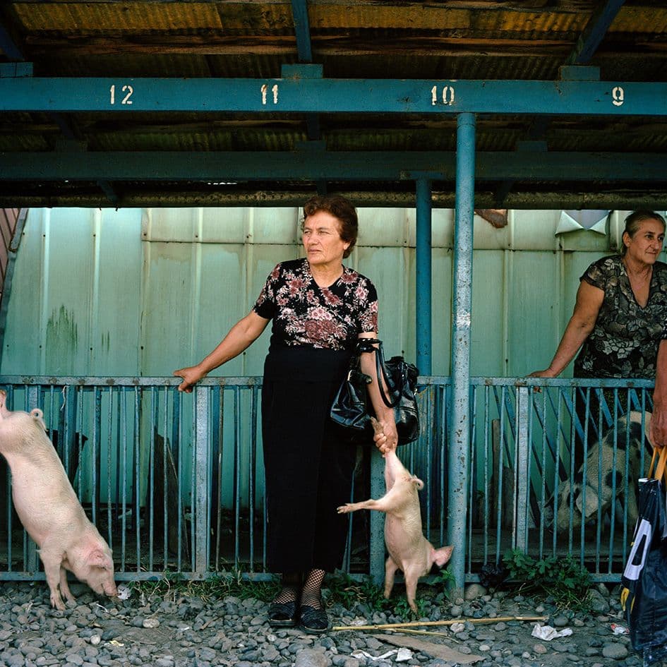 Ivor Prickett, "Una donna georgiana mingreliana aspetta di vendere un maialino al mercato di Gali." 2010, Gali, Abkhazia Fotografia dalla serie “Returning Home – Abkhazia” © Ivor Prickett  