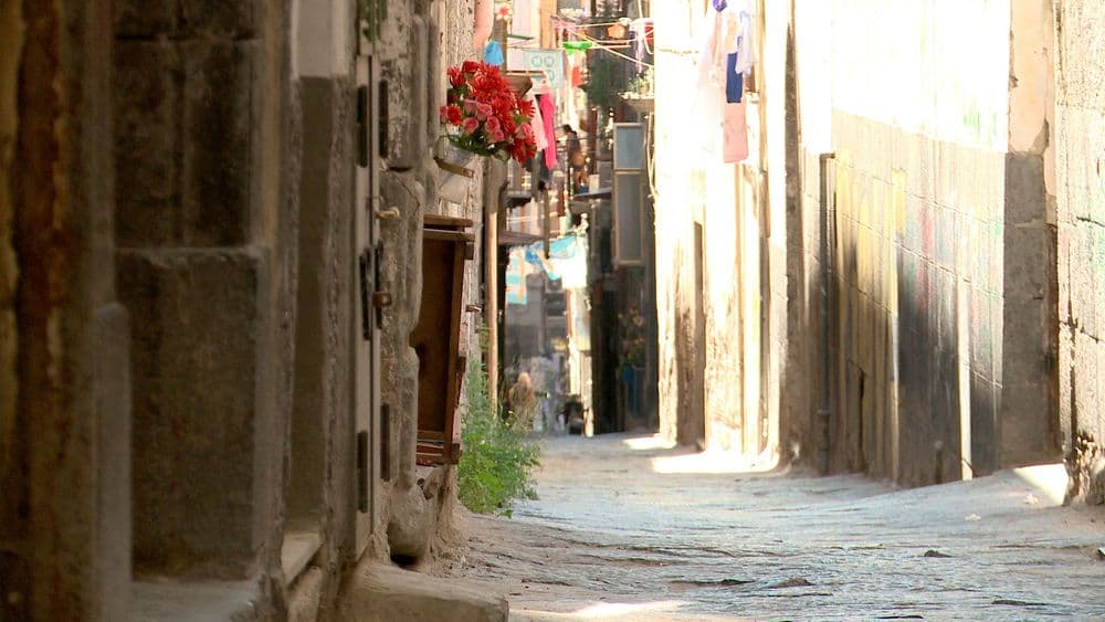 Max Mara Art Prize for Women. La residenza di Corin Sworn a Napoli, in collaborazione con il MADRe, 2014