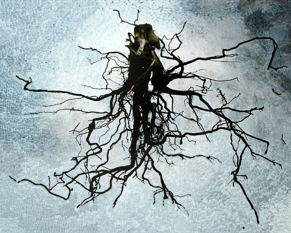 Viviane Sassen, "Phoenix / Revisited", 2009-2023 © Viviane Sassen